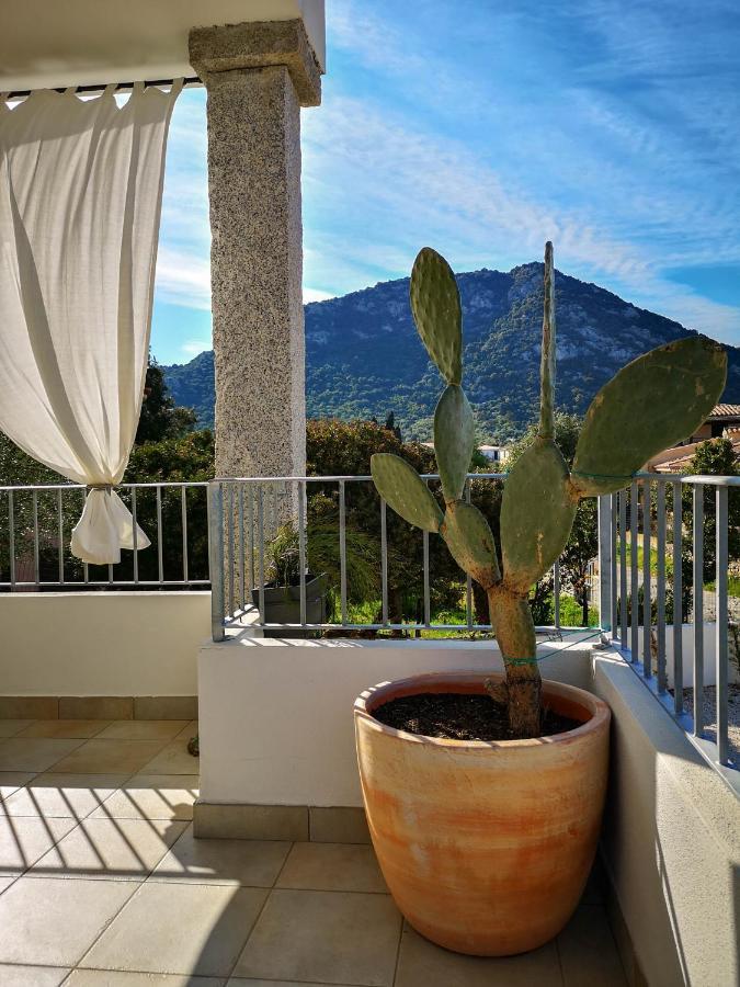 B&B Limone San Teodoro  Exteriér fotografie